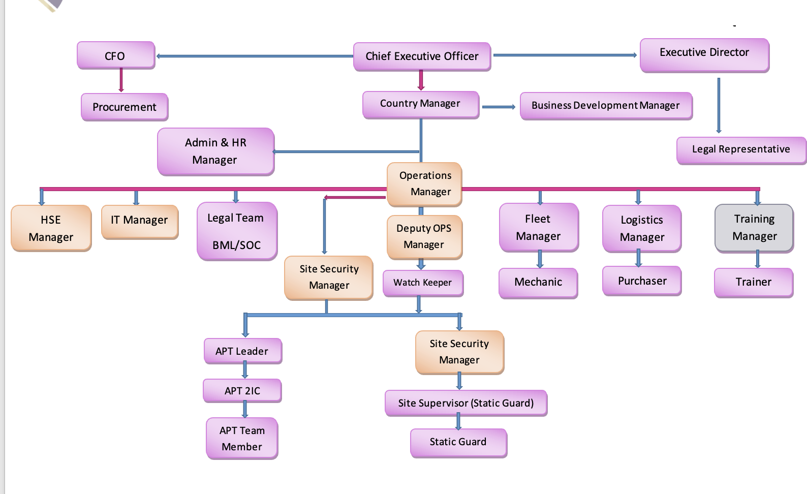 Royal Falcon staff structure